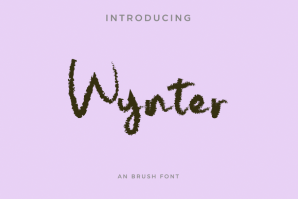 Wynter Script Font: A Marketer’s Typeface for Digital Visuals